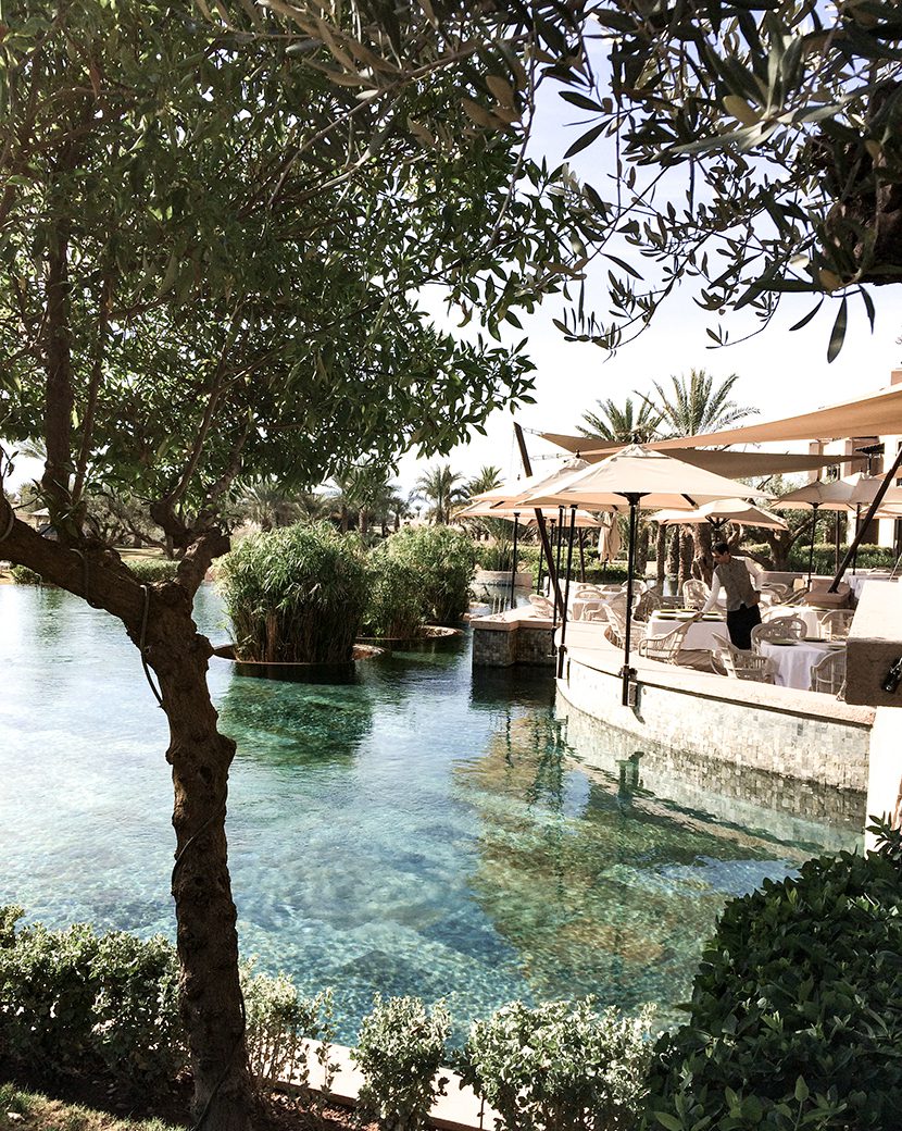 Pool at Domaine Royal Palm, Marrakech