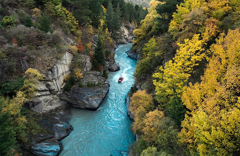 New Zealand through the lenses