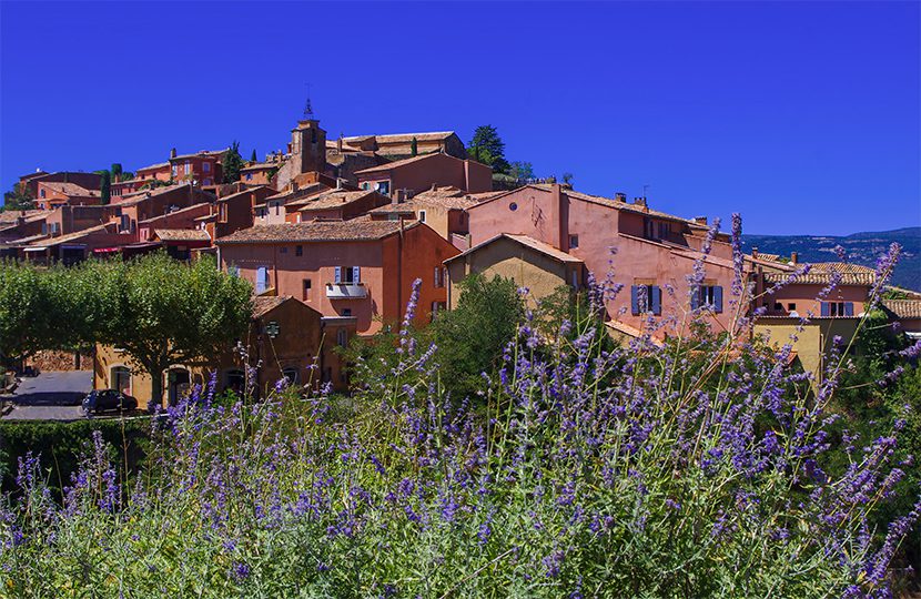 Provençal Delicacies