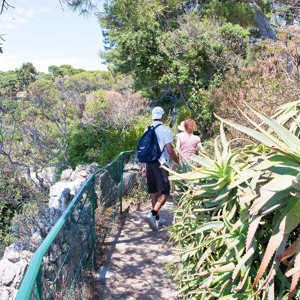 Sentier de Tire-Poil on the Cap d’Antibes