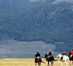 Enchanting Patagonia