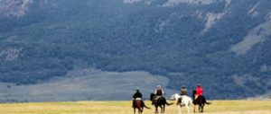 Enchanting Patagonia