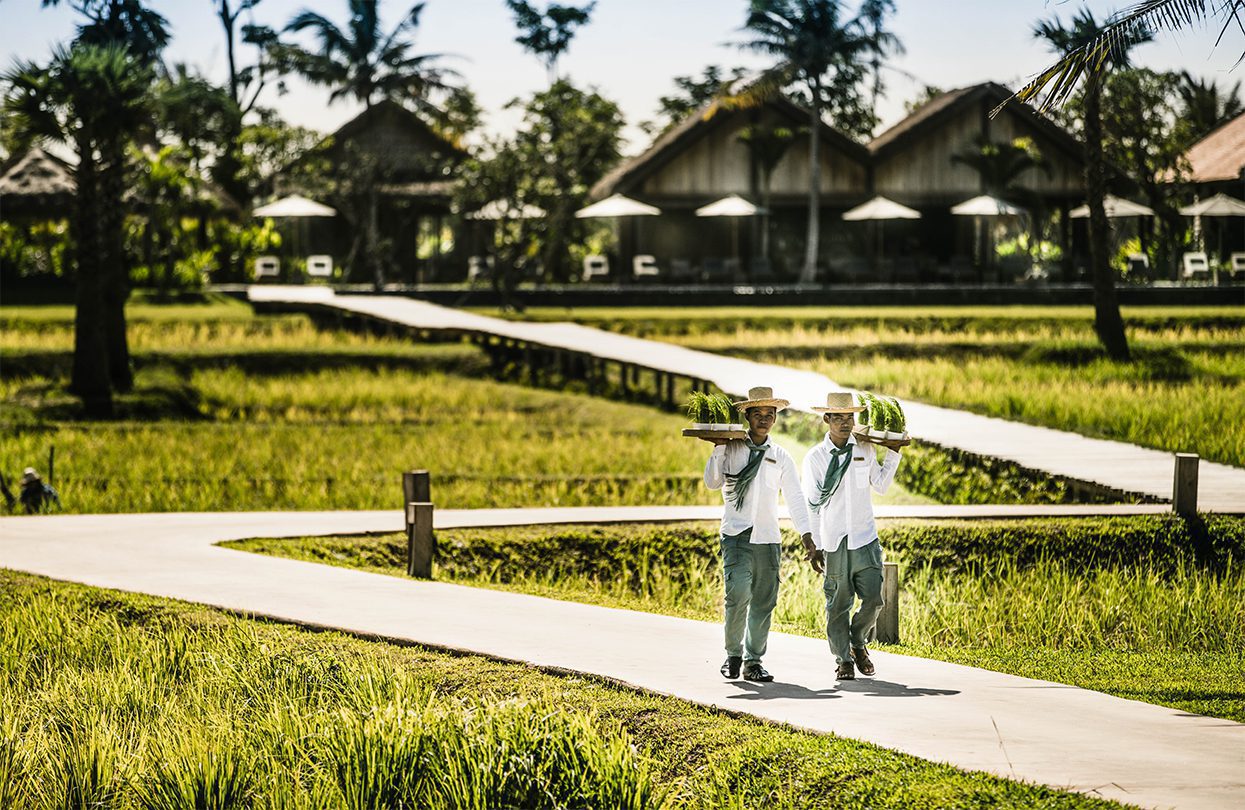 Phum Baitang - Garden & Grounds © Zannier Hotels