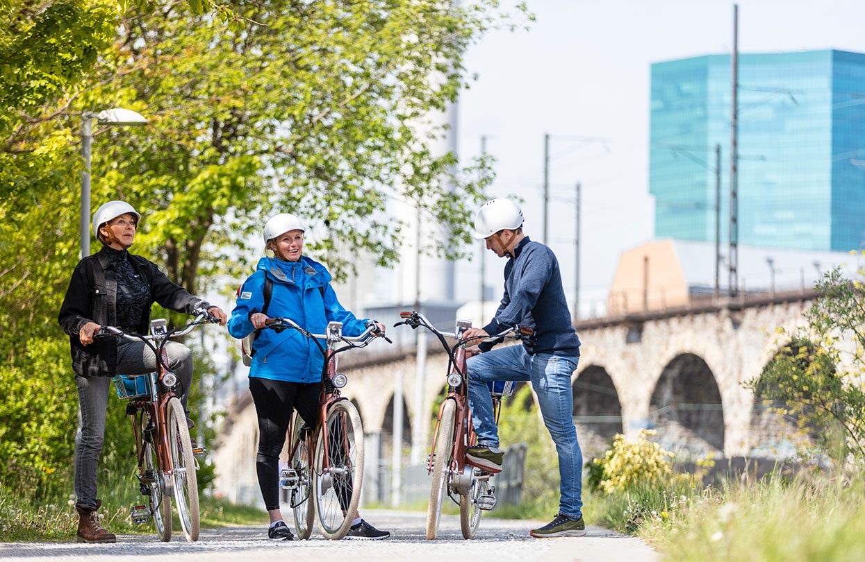 E-Bike Tour, image by dominikbaur.com, Zürich Tourismus