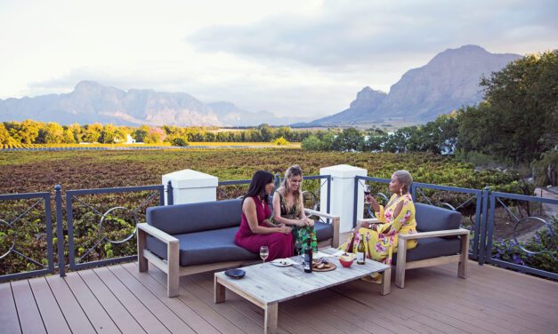 Adventure Beckons: Explore South Africa’s Garden Route