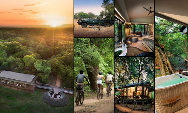 Zulu Zen Reborn: &Beyond Phinda’s Sand Forest Safari Experience