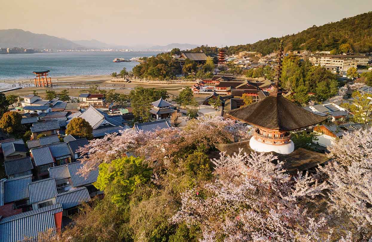 Cherry blossom at Miyajima Island, Image by Robert Harding Video, Shutterstock