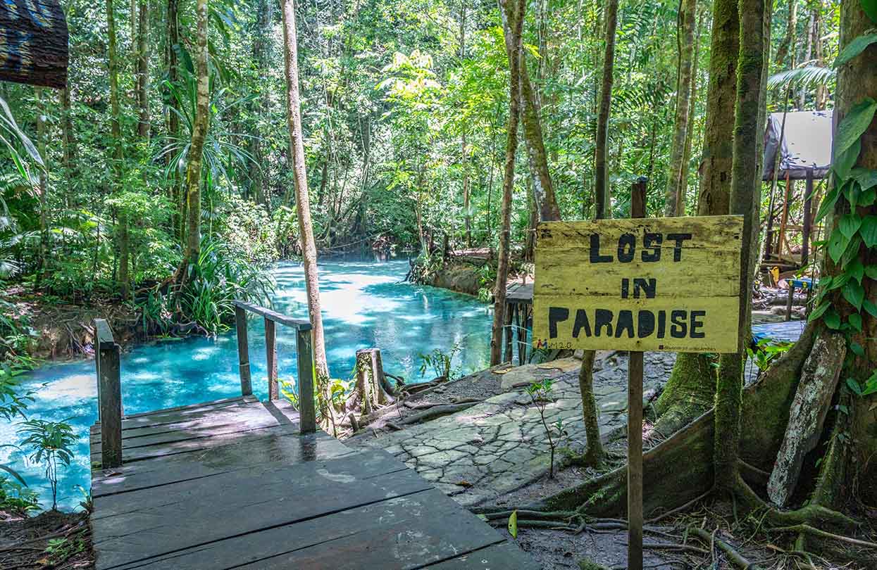 Blue River on Waigeo island, Raja Ampat, Image by Enselme Arthur, Shutterstock