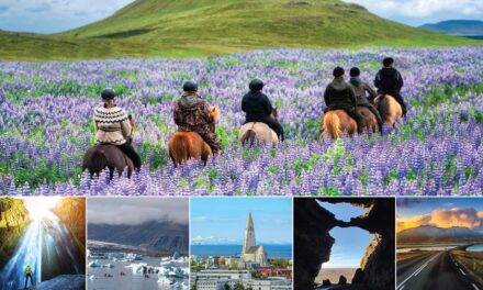 Puffins, Whales, Horse Riding To Lava Fields: Iceland’s Epic Trip Ahead