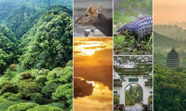 Qianjiangyuan — China’s Amazon Rainforest: Perfect for Forest Bathing