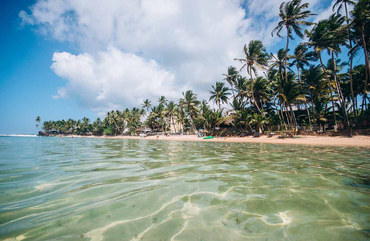 Jungle beach at Dalawella, image by Andrei Rudchenko, Shutterstock