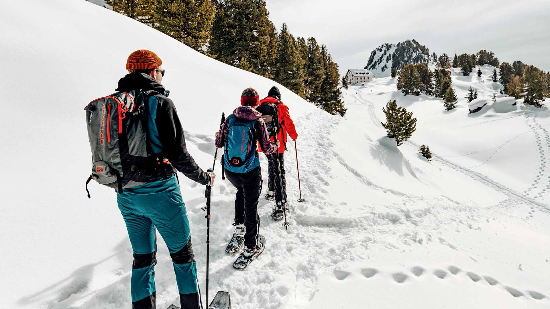 Snowshoe tour in Aletsch forest, Image Copyright Silvano Zeiter, Switzerland Tourism