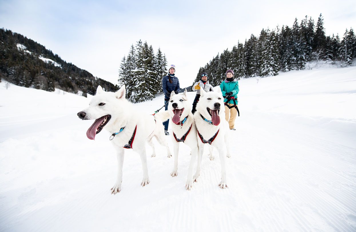 Adventures with huskies in the Valais Alps, Image Copyright Litescape Media, Switzerland Tourism