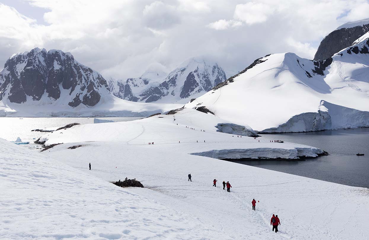 Silver Endeavour has added 22 newly identified landing sites increasing its total to 80 Antarctic destinations