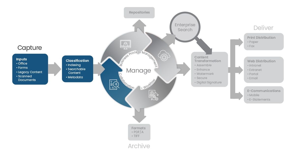 Content Lifecycle Chart Capture - Adlib